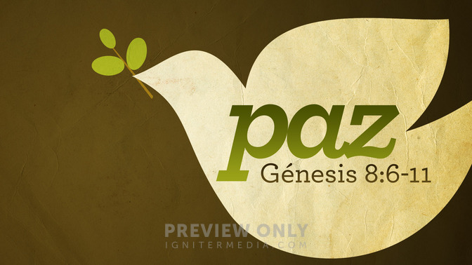 Paz_16x9-TITLE-1#preset=tg_title1.jpg