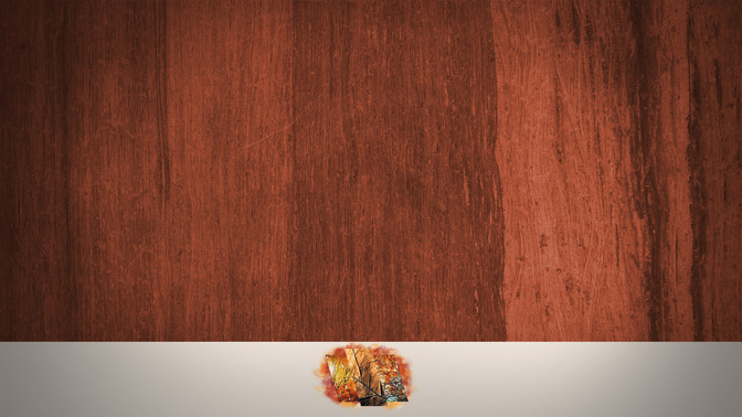 See_You_Next_Week_16x9-BACKGROUND#preset=tg_bg.jpg