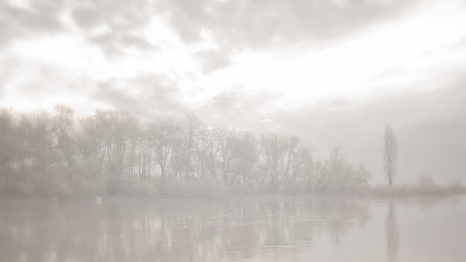 Renovando_el_Pacto_16x9-BACKGROUND#preset=tg_bg.jpg