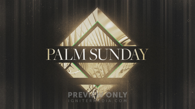 Photo_Diamond-Palm_Sunday_WIDE-TITLE-2#preset=tg_title2.jpg