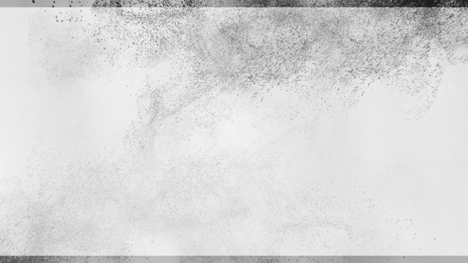 Ash_Wednesday_16x9-BACKGROUND#preset=tg_bg.jpg