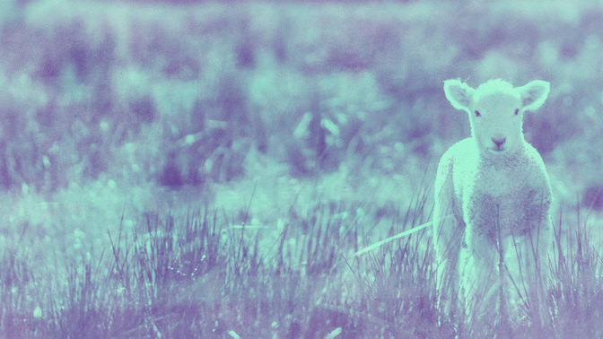 Pastel_Scenes-Goodbye_WIDE-TITLE-3#preset=tg_title3.jpg