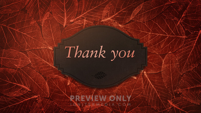 Fancy_Leaves_-_Thank_You_16x9-TITLE-2#preset=tg_title2.jpg
