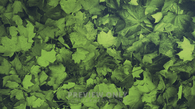 Brushed_Leaves-Offering_WIDE-BACKGROUND#preset=tg_bg.jpg