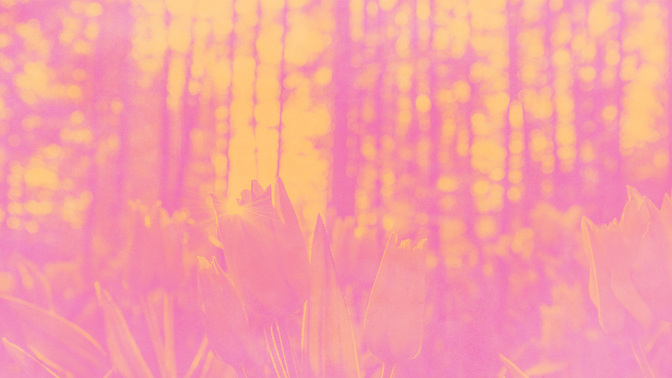 Pastel_Scenes-Events_WIDE-TITLE-3#preset=tg_title3.jpg