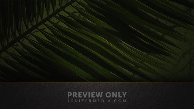 Palm_Sunday_16x9-CONTENT-3#preset=tg_alt3.jpg