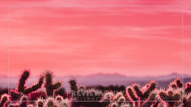Desert_Pink_02_HD.jpg