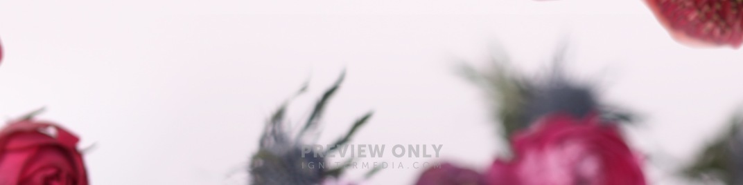 Spring_Floral_Flowers_Overhead_UW_SD.jpg