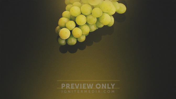 Sour_Grapes_WIDE-TITLE-3#preset=tg_title3.jpg