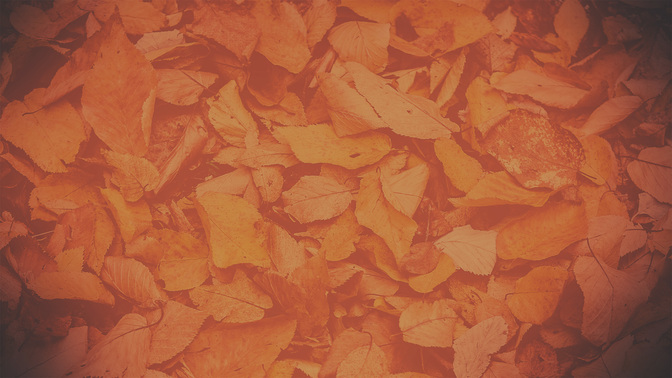 Autumn_Colors-Take_Care_WIDE-BACKGROUND#preset=tg_bg.jpg