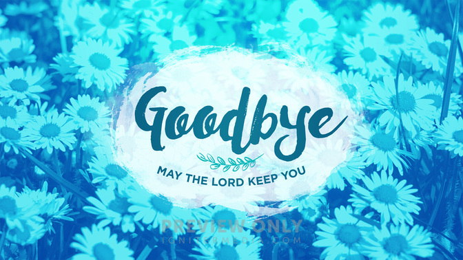 flower fields - goodbye