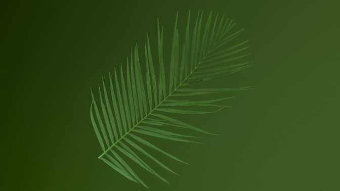 palm sunday ink - 1