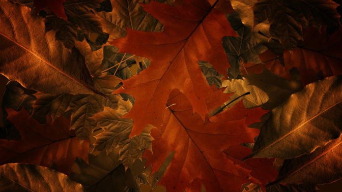 Welcome_16x9-CONTENT-3#preset=tg_alt3.jpg