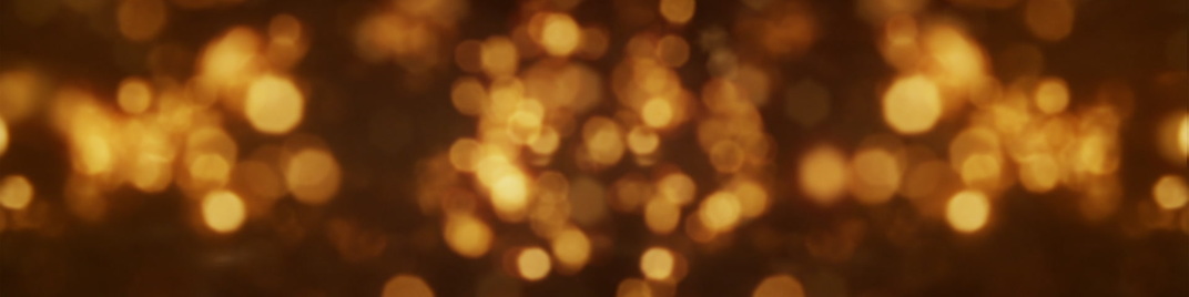 Bush_Bokeh_Gold_MS_1920x480.jpg