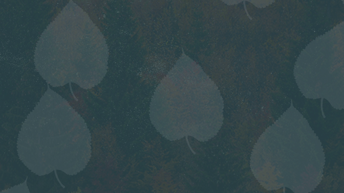 Give_02_HD.png