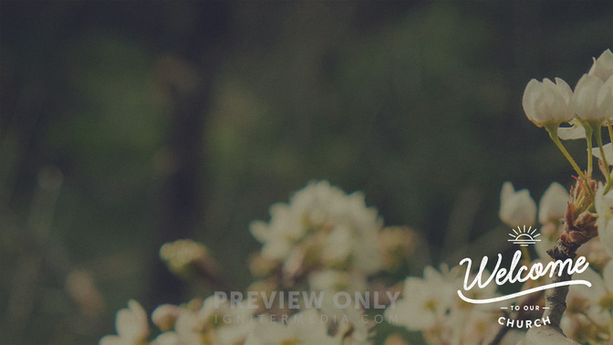Blossoms_-_Welcome_16x9-CONTENT-1#preset=tg_alt1.jpg