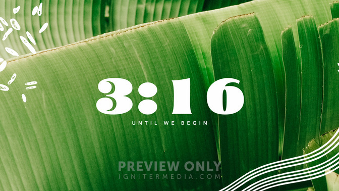 Summer Sun_Countdown_02_HD.jpg