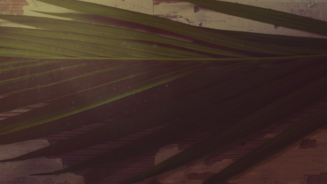 Portraits_Of_Passion-Palm_Sunday_WIDE-CONTENT-3#preset=tg_alt3.jpg