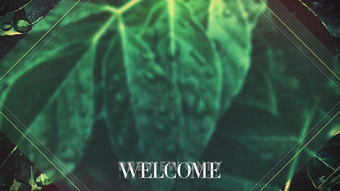 Spring_Dew-Welcome_WIDE-ALT-1#preset=tg_alt1.jpg