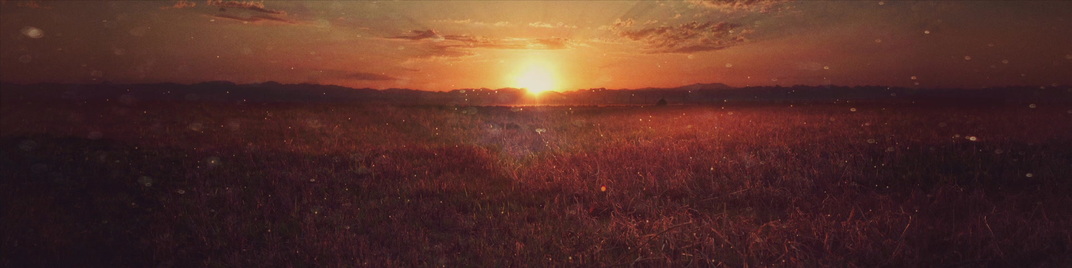 golden field