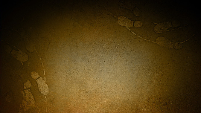 Ordered_Steps__Numbered_Days_16x9-BACKGROUND#preset=tg_bg.jpg