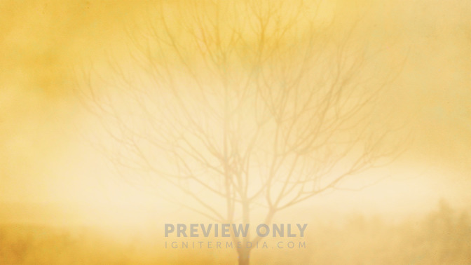 La_Higuera_Estril_16x9-BACKGROUND#preset=tg_bg.jpg