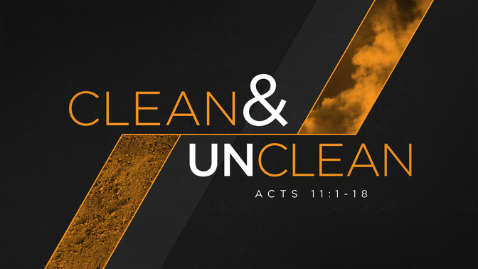 clean & unclean