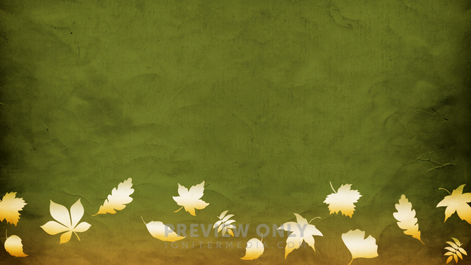 leaves blowing_WIDE.jpg