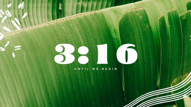 Summer Sun_Countdown_02_HD.jpg