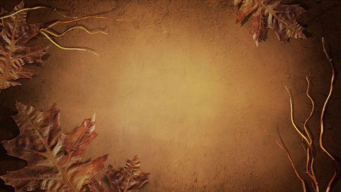 Fall_01_16x9.jpg
