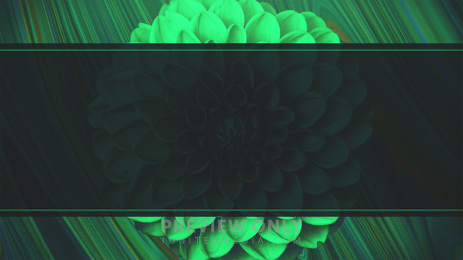 Spring_Mix-Offerings_WIDE-BACKGROUND#preset=tg_bg.jpg