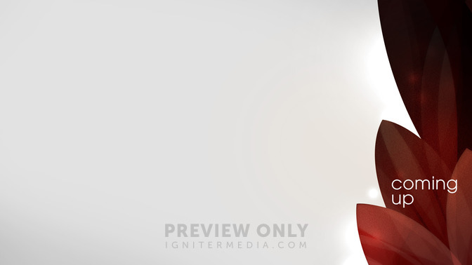 Elegant_Leaves_-_Coming_Up_16x9-CONTENT-2#preset=tg_alt2.jpg