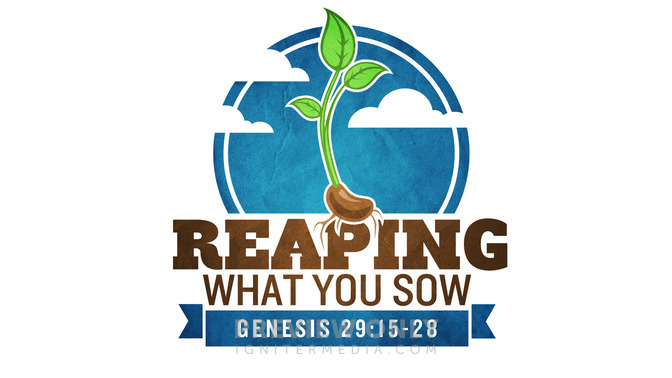 reaping what you sow