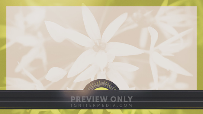 Bright_Foliage-Upcoming_Events_WIDE-CONTENT-3#preset=tg_alt3.jpg
