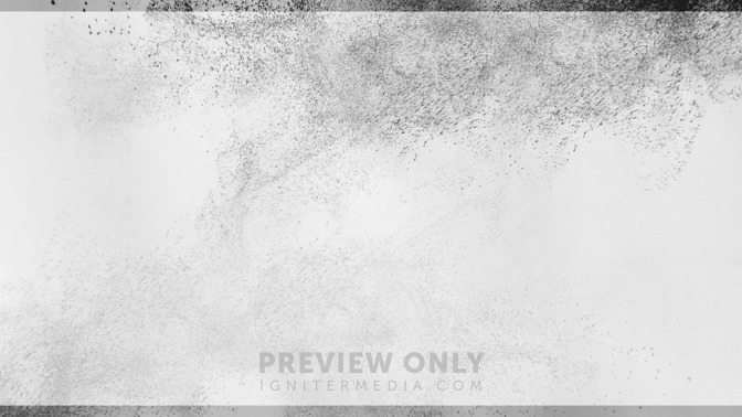 Ash_Wednesday_16x9-BACKGROUND#preset=tg_bg.jpg