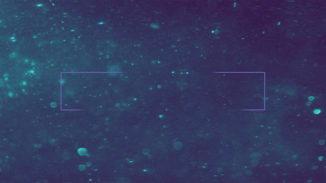 Tithes-WIDE#preset=tg_title3.jpg