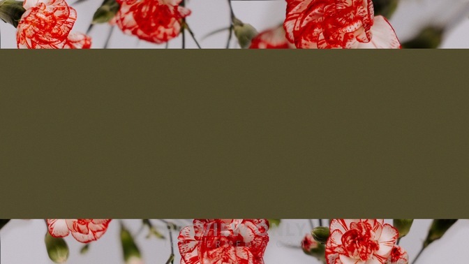 Floral_Details_Floral_Details_WB_03_HD.jpg