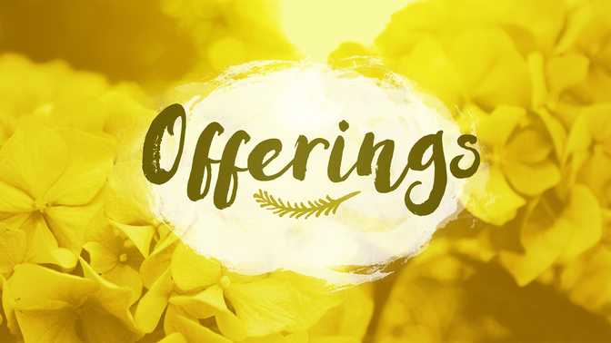 Flower_Fields-Offerings_WIDE-TITLE-2#preset=tg_title2.jpg