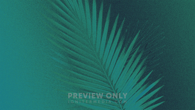 Gradient_2_Easter Gradient_TT3_Palm_Sunday_WIDE#preset=tg_title3.jpg