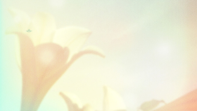 Lilies_-_Welcome_To_Church_16x9-CONTENT-3#preset=tg_alt3.jpg