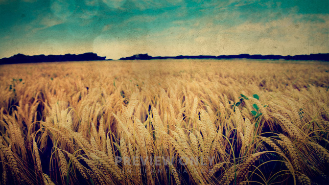 Elogio_en_Accin_de_Gracias_16x9-TITLE-3#preset=tg_title3.jpg