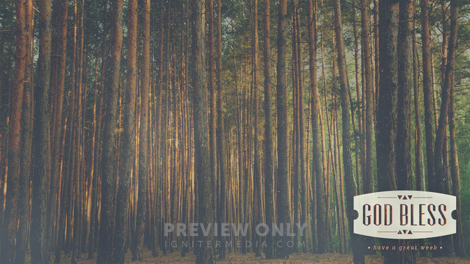 Forest_Morning_-_God_Bless_16x9-CONTENT-1#preset=tg_alt1.jpg