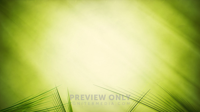 Palm_Sunday_Service_16x9-CONTENT-3#preset=tg_alt3.jpg
