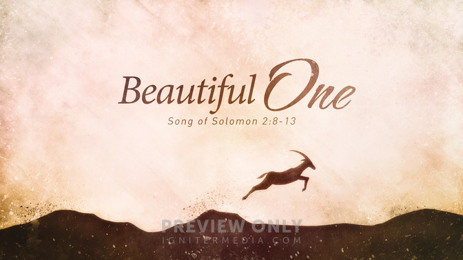 Beautiful_One_16x9-TITLE-1#preset=tg_title1.jpg