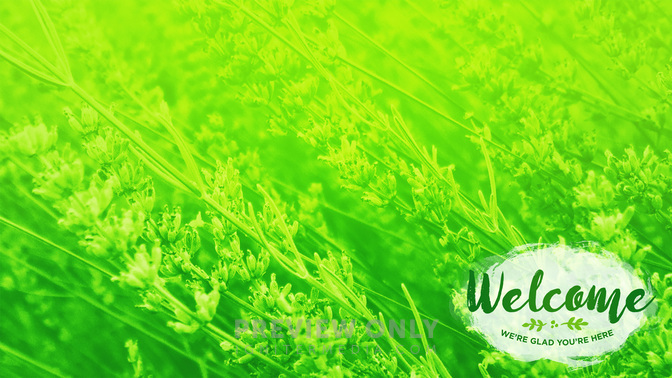 Flower_Fields-Welcome_WIDE-CONTENT-1#preset=tg_alt1.jpg