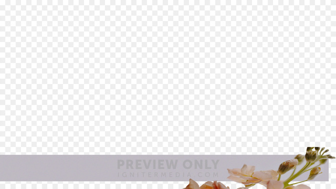 Floral_Details_Floral_Details_L3_TH_Mothers_Day_WIDE#preset=tg_transparent_png_preview.jpg
