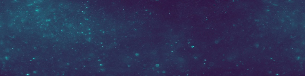 new year sparkle - haze