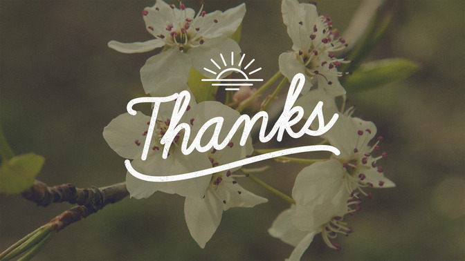 Blossoms_-_Thanks_16x9-TITLE-2#preset=tg_title2.jpg