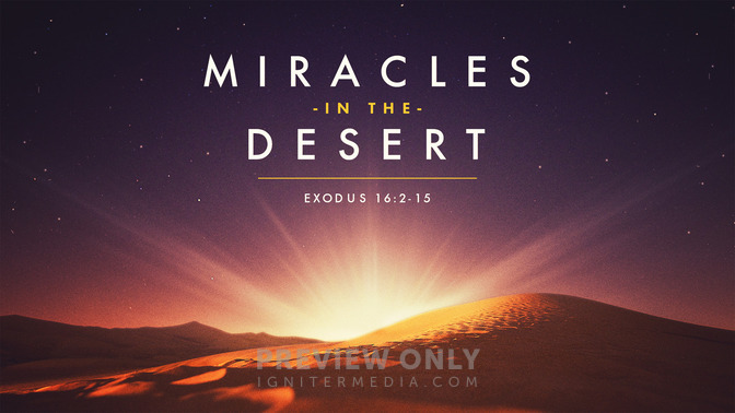 Miracles_in_the_Desert_16x9-TITLE-1#preset=tg_title1.jpg