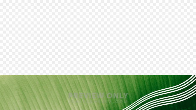 Summer Sun_L3_TH_SummerOutreach_WIDE#preset=tg_transparent_png_preview.jpg